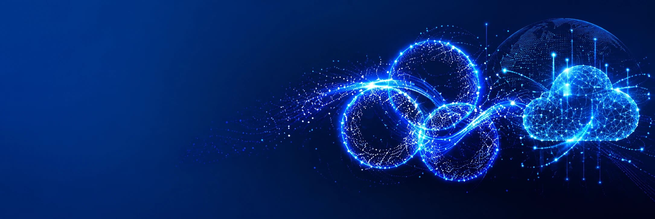 Our Portfolio
